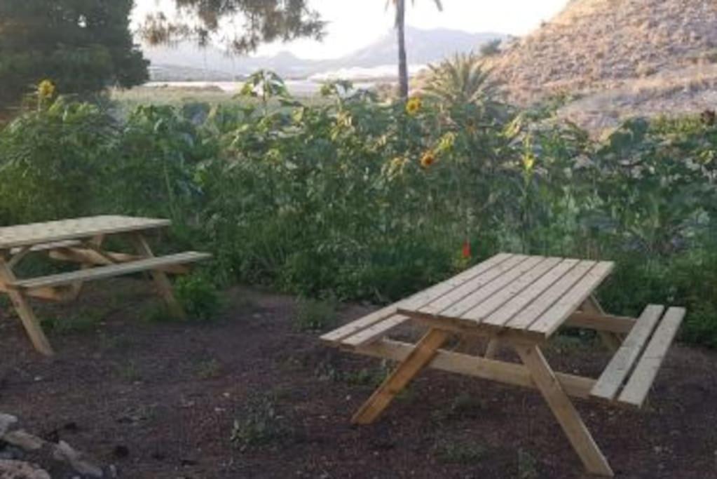Oasis De Ifre Villa Caserío Cañada de Gallego Buitenkant foto
